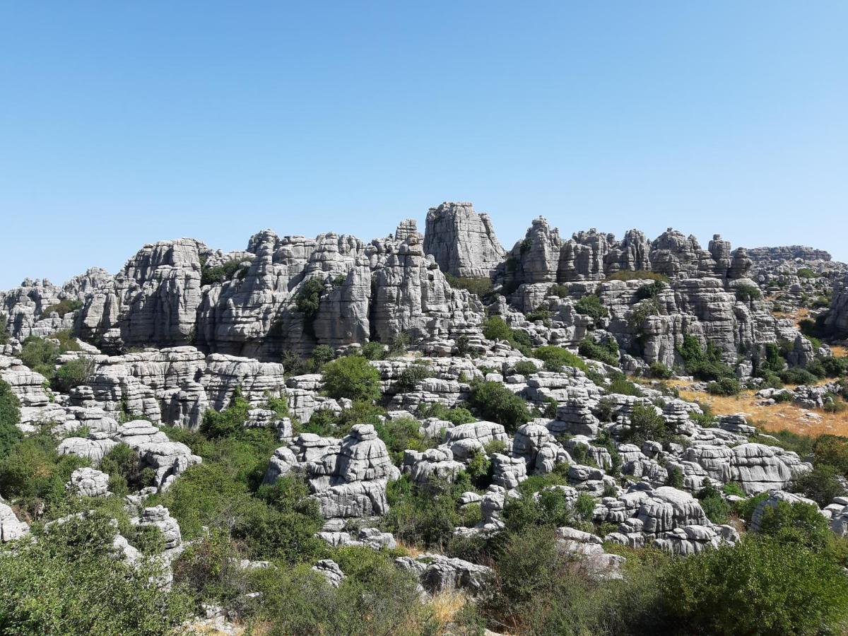 Casa Rural La Parada La Joya Екстериор снимка