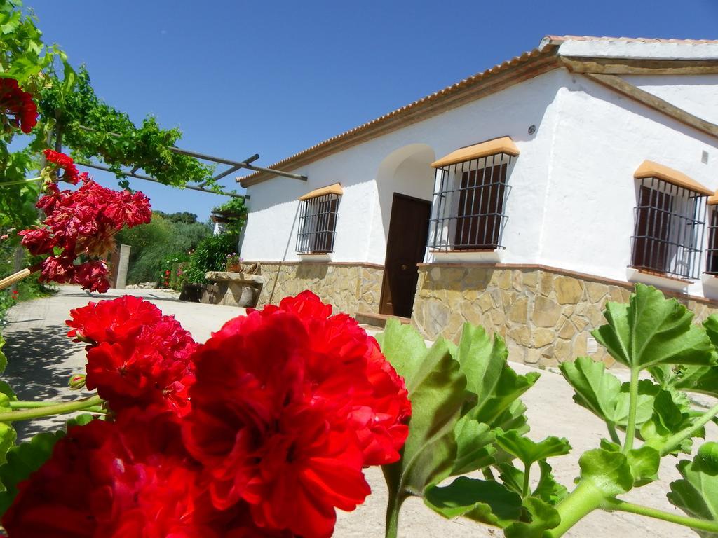 Casa Rural La Parada La Joya Екстериор снимка